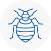 Bed Bug Extermination In Easingwold