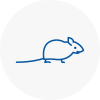 Mice Exterminators In Easingwold